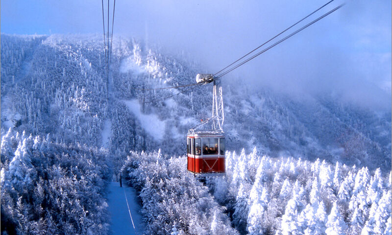 Abant&Kartepe&Uludağ Turu